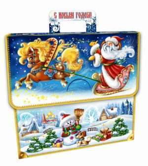 Портфель Зимний